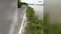 किशनगंज के टेढ़ागाछ में रेतुआ नदी का बढ़ता कटाव, डोरिया-लोधाबाड़ी मुख्यमंत्री सड़क पर मंडराया खतरा
