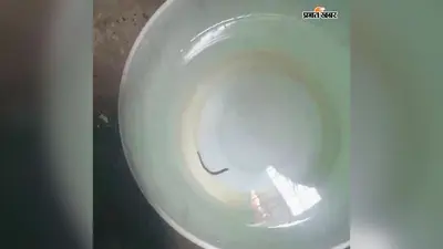 शिवहर के कहतरवा गांव में नल-जल के पानी में कीड़ा मिलने की शिकायत, जांच की मांग