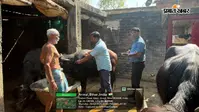 वैक्सीनेशन कर्मियों की हड़ताल से पशुओं का खुरपका-खुरहा टीकाकरण अभियान ठप, बढ़ी चिंता