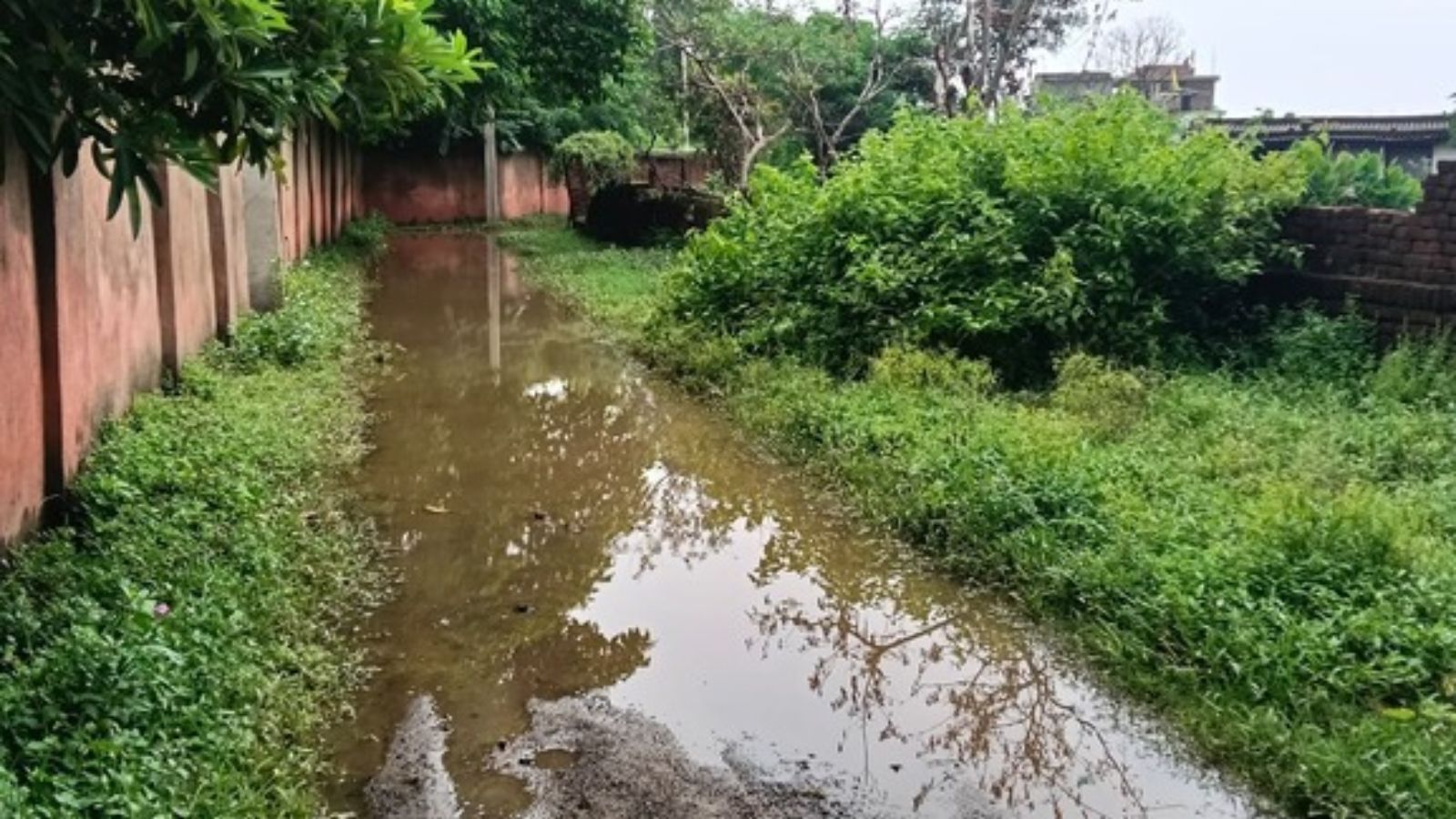 शिवपुर मुहल्ले में सडक पर जमा पानी