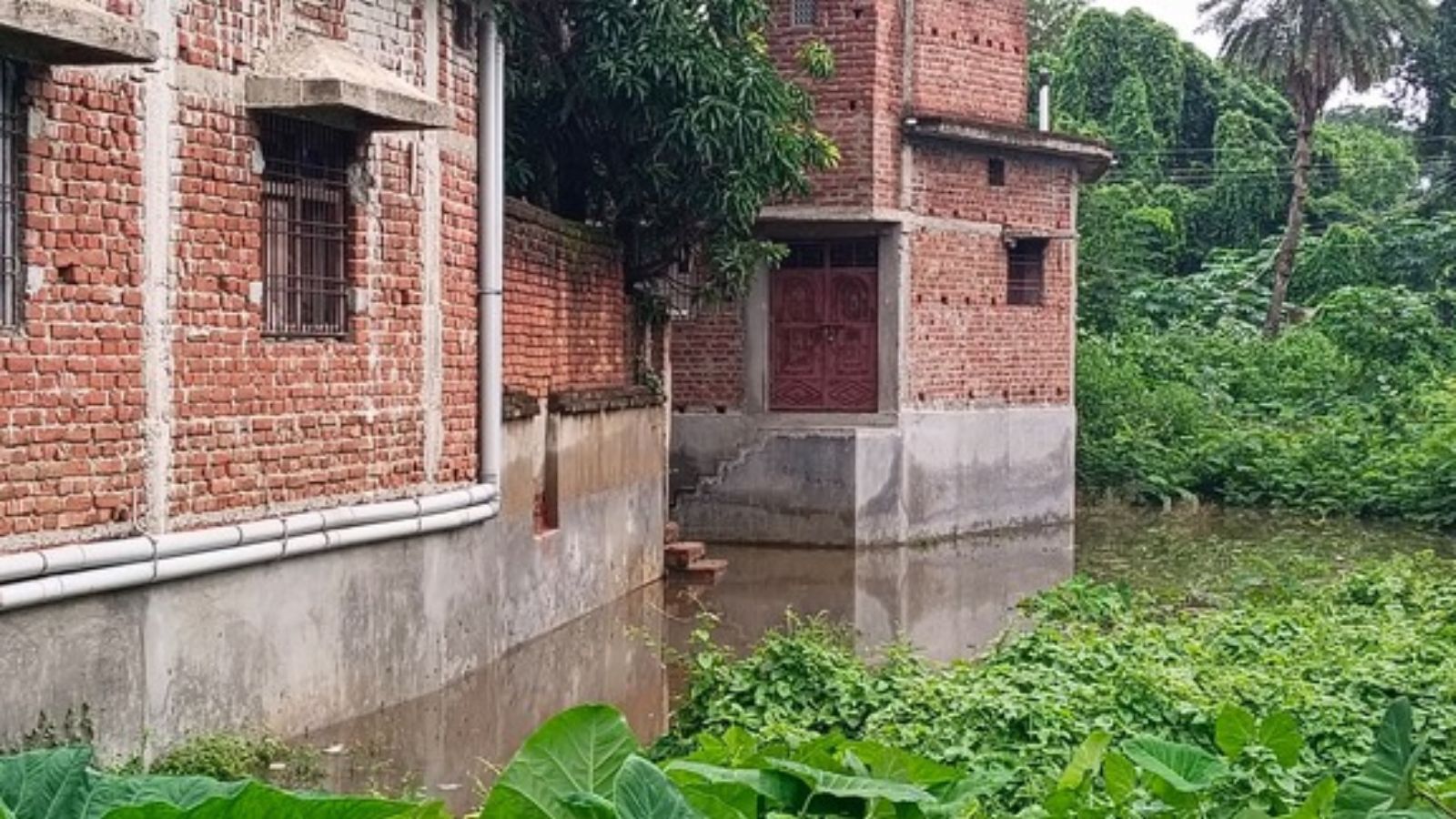 चपरासी मुहल्ले में वृद्धाश्रम के समीप रास्ते पर जमा पानी