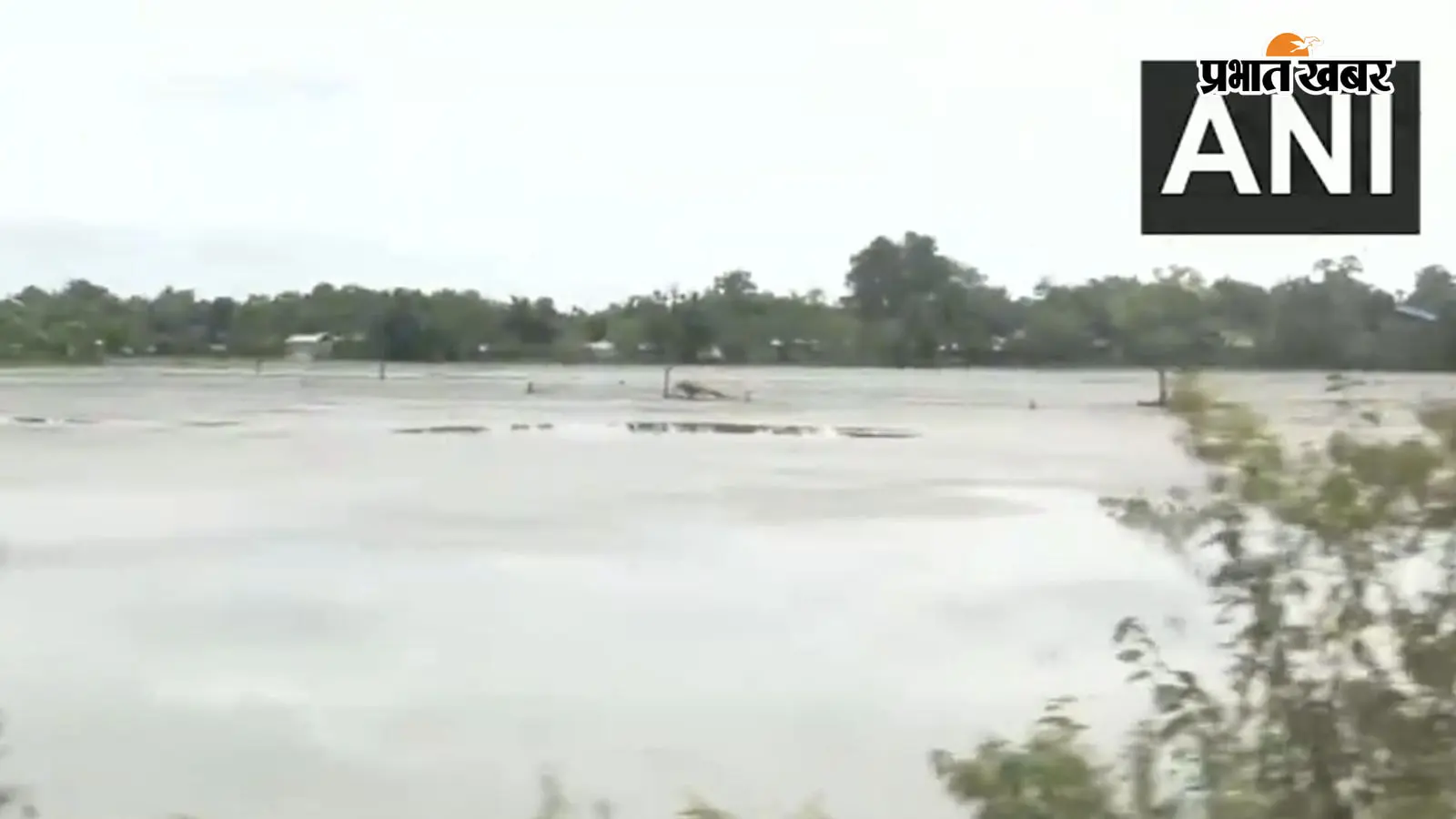 Assam Flood Video: विनाशकारी बाढ़ में बहने लगे बीमार पिता, युवक ने सुनाई दर्दभरी कहानी