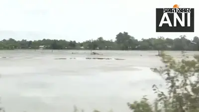Assam Flood Video: विनाशकारी बाढ़ में बहने लगे बीमार पिता, युवक ने सुनाई दर्दभरी कहानी