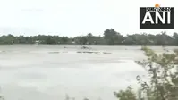 Assam Flood Video: विनाशकारी बाढ़ में बहने लगे बीमार पिता, युवक ने सुनाई दर्दभरी कहानी