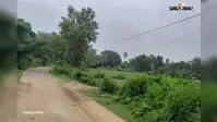पंजवारा-रणगांव मार्ग पर झूल रहा 11 हजार वोल्ट का हाईटेंशन तार, हर पल हादसे का खतरा, ग्रामीणों में आक्रोश