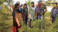 रोहतास : संझौली में हरियाली की पहल, मनरेगा से इस वर्ष लगेंगे 14,400 पौधे, 7,800 का रोपण पूरा