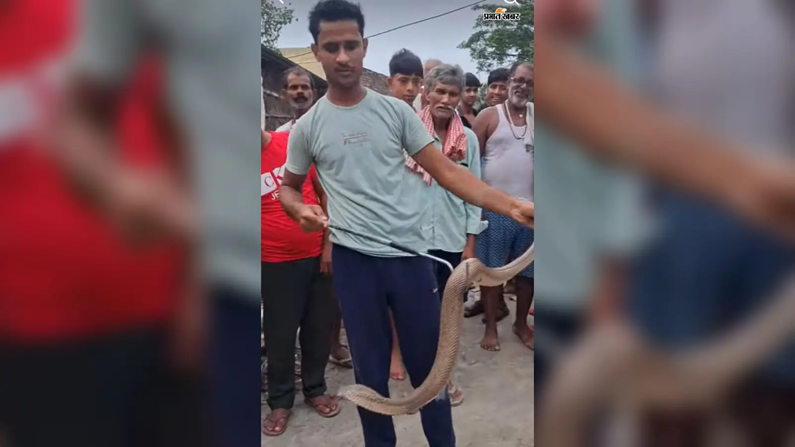 सांप दिखे तो लोग सबसे पहले रिजवान को करते हैं फोन, अब तक बचा चुके हैं कई बेजुबान जानें