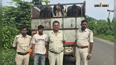 झारखंड से हो रही थी मवेशियों की तस्करी, बंगाल पुलिस ने मित्तरपुर नाका पर वाहन समेत चालक को धर दबोचा