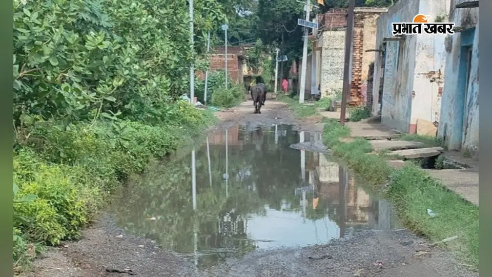 बक्सर: चौगाई गांव के पश्चिमी द्वार की सड़क पर जलजमाव, तालाब जैसी स्थिति से ग्रामीण परेशान