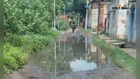 बक्सर: चौगाई गांव के पश्चिमी द्वार की सड़क पर जलजमाव, तालाब जैसी स्थिति से ग्रामीण परेशान