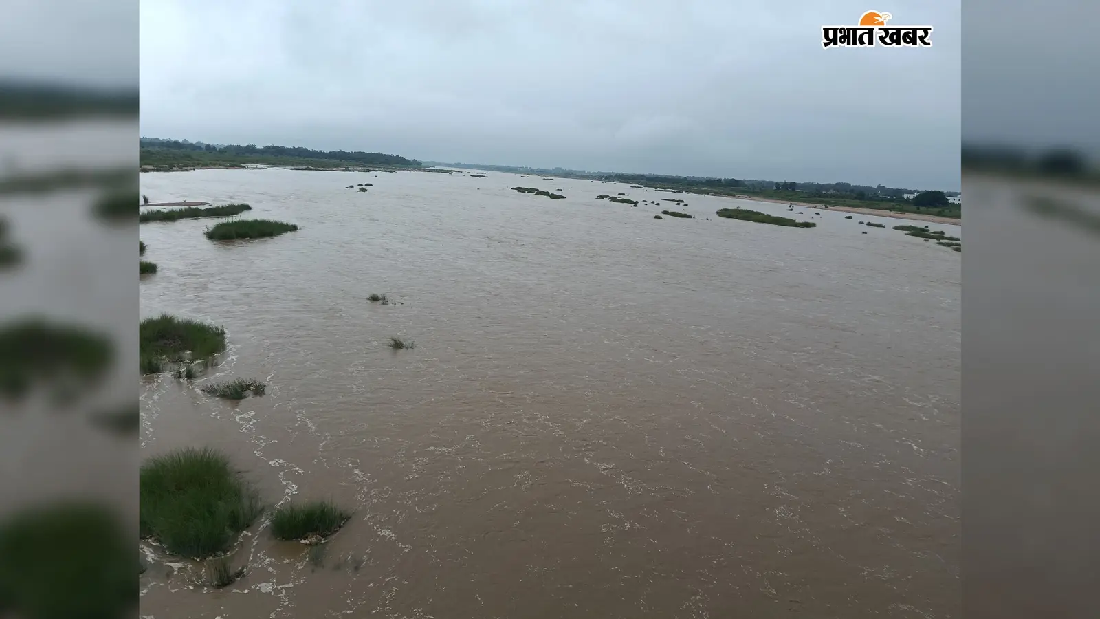 लगातार बारिश से नदियों में उफान, खेतों में भरा पानी; धान रोपनी में आई तेजी