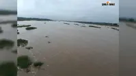 लगातार बारिश से नदियों में उफान, खेतों में भरा पानी; धान रोपनी में आई तेजी