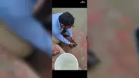 ऑफिसर्स कॉलोनी में भटका कछुआ, रेस्क्यू कर जीवछ नदी में छोड़ा गया