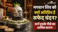लाल या पीला नहीं, शिव पूजा में सफेद चंदन ही क्यों माना जाता है सर्वश्रेष्ठ? जानें शास्त्रीय विधान