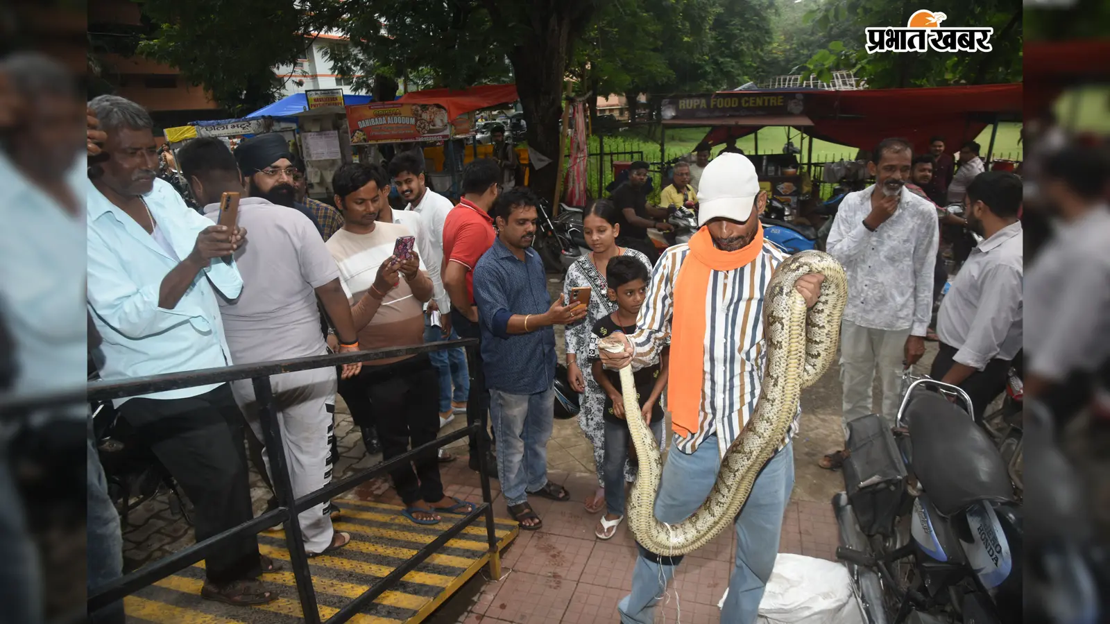 विशाल अजगर देखते ही मची भगदड़...फिर ट्रक ड्राइवर ने किया ऐसा काम