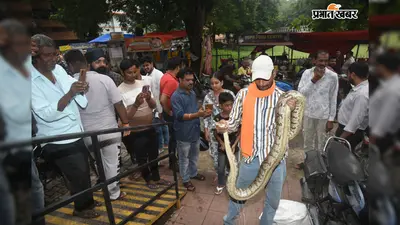 विशाल अजगर देखते ही मची भगदड़...फिर ट्रक ड्राइवर ने किया ऐसा काम