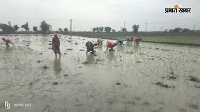 झमाझम बारिश से किसानों के खिले चेहरे: कैमूर में धान रोपनी की रफ्तार पड़ी तेज