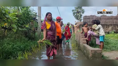 जलजमाव से परेशान ग्रामीणों ने सड़क पर की धान की रोपनी, दरियापुर में प्रशासन के खिलाफ जताया विरोध
