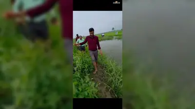 रोहतास: कोचस के कुछिला पंचायत सरकार भवन तक रास्ता निर्माण नहीं होने से अधिकारियों में नाराजगी, जांच के निर्देश