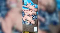 एक साथ तीन बच्चों के जन्म से चिकित्सक भी हैरान, मां और सभी नवजात सुरक्षित