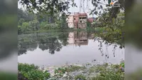 सीवान: दरौंदा के साधपुर सरकारी पोखरी में मरीं हजारों मछलियां, दुर्गंध से ग्रामीण परेशान, जांच की मांग