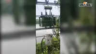 जर्जर ट्रांसफॉर्मर से सोनमा के सैकड़ों उपभोक्ता परेशान, नया ट्रांसफॉर्मर लगाने की मांग