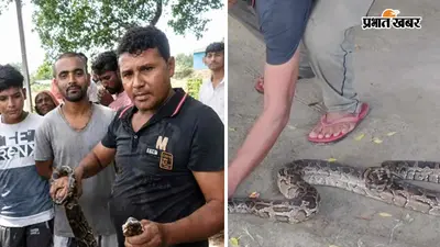 Bettiah Photo Story: रामनगर कॉलेज में विशाल अजगर की एंट्री, छात्रों में दहशत, देखें रेस्क्यू की तस्वीरें