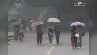 Heavy Rain Warning: 14 से 19 अगस्त तक भारी बारिश, आंधी-तूफान का अलर्ट; देखें अपने राज्य के मौसम का अपडेट
