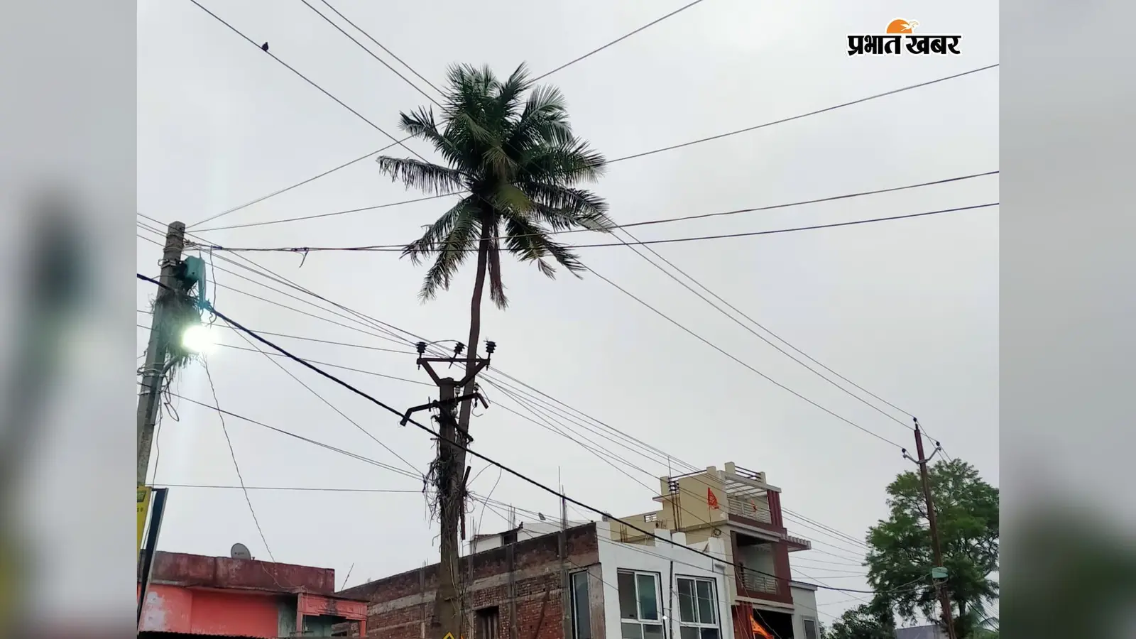 आसमान में छाए बादल, कहीं हल्की तो कहीं होगी मध्यम बारिश; जानें आज के मौसम का मिजाज