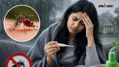 मानसून में डेंगू से रहें सावधान, ये लक्षण दिखें तो तुरंत हो जाएं अलर्ट