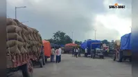 गुलाबबाग मंडी में जूट के भाव स्थिर, मक्के की कीमतों में उछाल; जानें ताजा मंडी भाव
