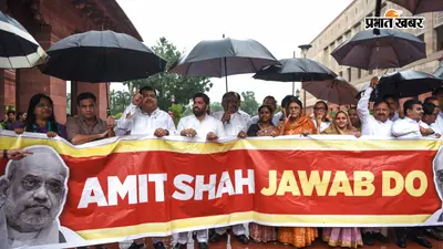 Video: संसद के मकर द्वार पर विपक्ष का प्रदर्शन, अमित शाह जवाब दो के लगे नारे