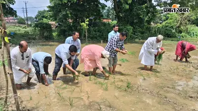 चौथम में रागी (मड़ुआ) रोपाई का डेमो, अधिकारियों ने किसानों के साथ खेत में उतरकर दिया श्री अन्न की खेती का संदेश