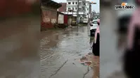 रफीगंज में हल्की बारिश से जलमग्न हुई सड़क, राजा बगीचा वार्ड में जल निकासी व्यवस्था की खुली पोल