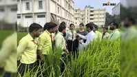रोहतास में धान की फसल पर कीटों का खतरा, वैज्ञानिक प्रबंधन से 20 से 40% तक नुकसान से बचाव संभव