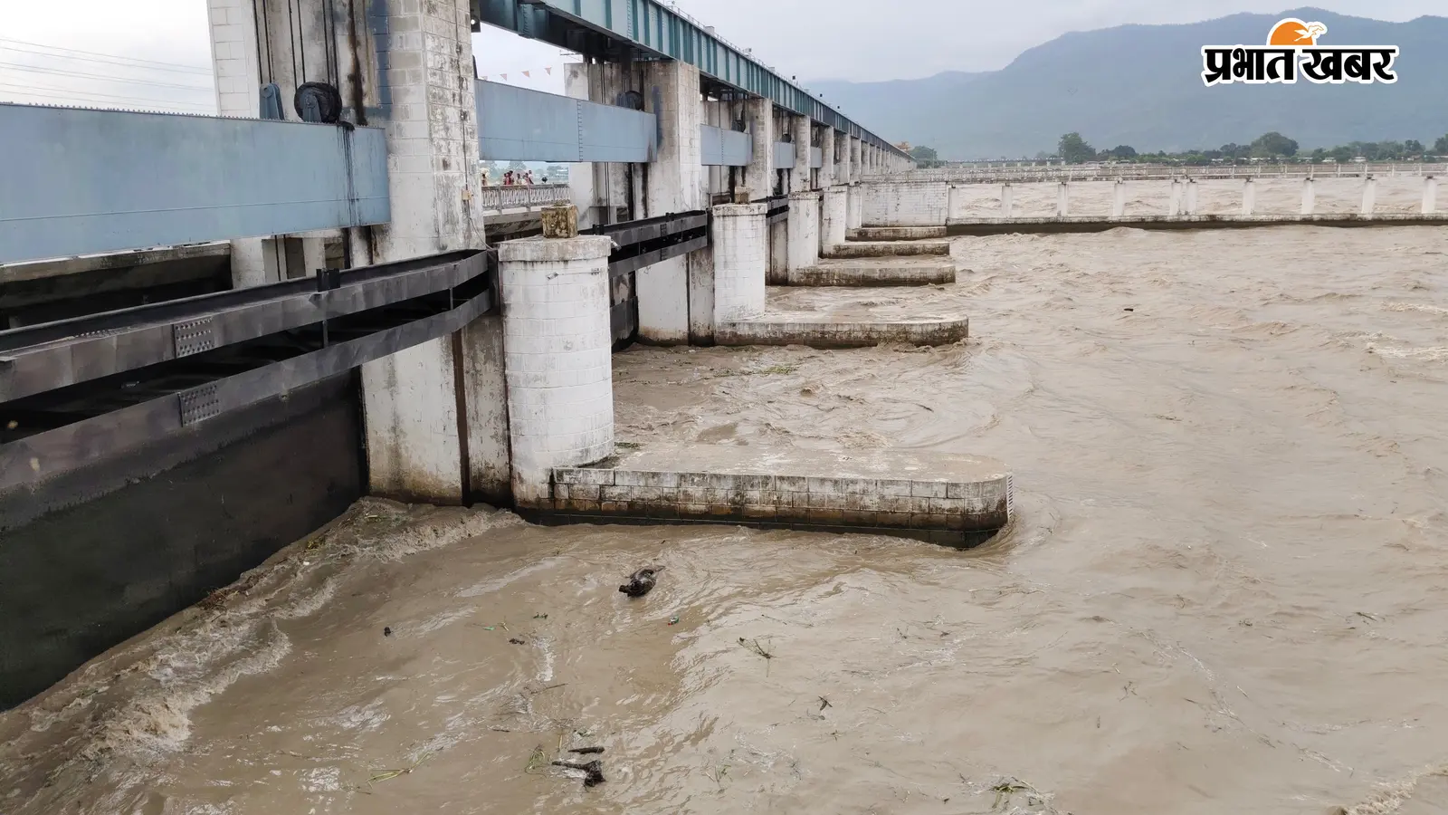 वाल्मीकिनगर में गंडक नदी का जलस्तर घटा, बाढ़ का तत्काल खतरा टला लेकिन जलभराव और कटाव की चिंता बरकरार
