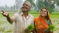 मानसून ने बदल दी भागलपुर के किसानों की किस्मत, 44,306 हेक्टेयर में हुई धान की रोपाई, 15 अगस्त तक पूरा होगा लक्ष्य
