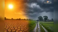 Weather Update: पटना समेत 19 जिलों में भरी बारिश-वज्रपात का अलर्ट, बिहार में फिर एक्टिव हुआ मानसून