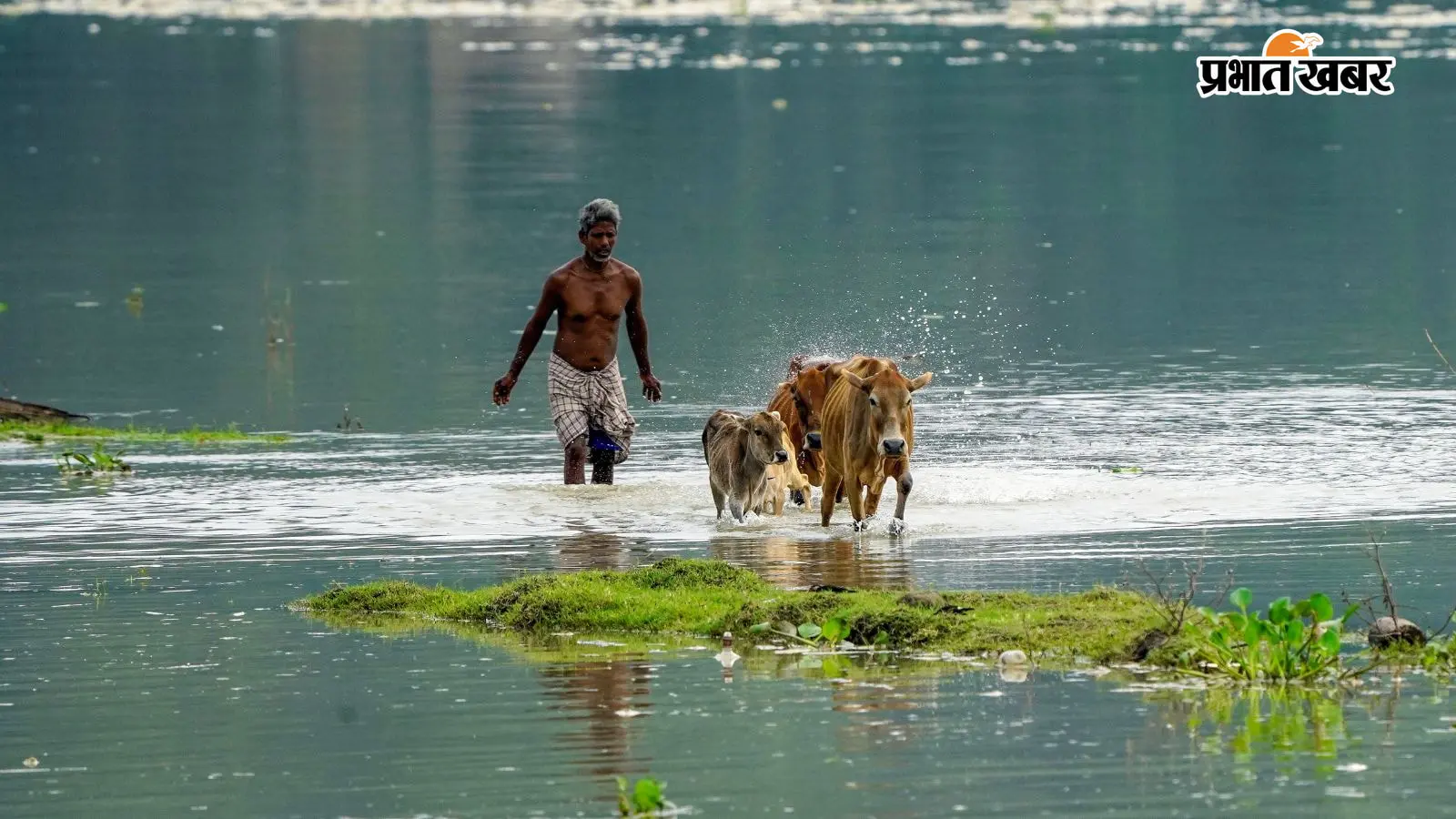 असम में बाढ़ ने एक बार फिर जनजीवन को बुरी तरह प्रभावित किया है. राज्य के कई जिलों में पानी भरने से हजारों परिवार संकट में हैं और अब तक 98 लोगों की मौत हो चुकी है. कछार, शिवसागर और करीमगंज सबसे ज्यादा प्रभावित इलाकों में शामिल हैं. राहत और बचाव कार्य जारी है, बेघर परिवारों के लिए अस्थायी आश्रय और पुनर्वास की व्यवस्था की जा रही है.