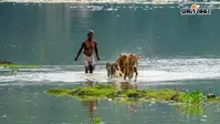 Photos: बाढ़ से बेहाल असम, अब तक 98 लोगों की मौत, हजारों परिवारों पर संकट