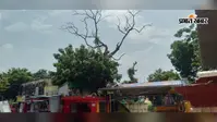 बूढ़ानाथ मंदिर के सामने खड़ा सूखा पेड़ दे रहा हादसे को न्योता