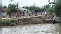 महानंदा नदी के कटाव से मायामारी गांव में दहशत, 50 मीटर जमीन नदी में विलीन; बंबू रोलिंग का प्रयास भी हुआ विफल