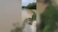 किशनगंज में रेतुआ नदी का कहर, देवरी गांव के ग्रामीणों ने प्रशासन से लगाई गुहार