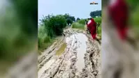 चौथम के रोहियार में पक्की सड़क का इंतजार, बरसात में कीचड़ और जलजमाव से बढ़ी ग्रामीणों की परेशानी