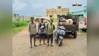 उत्पाद विभाग की छापेमारी, भारी मात्रा में शराब बरामद, तीन गिरफ्तार