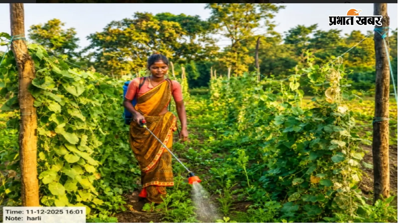 सपोर्ट संस्था के सहयोग से अनीता देवी बनीं आत्मनिर्भर, बदली आर्थिक तस्वीर