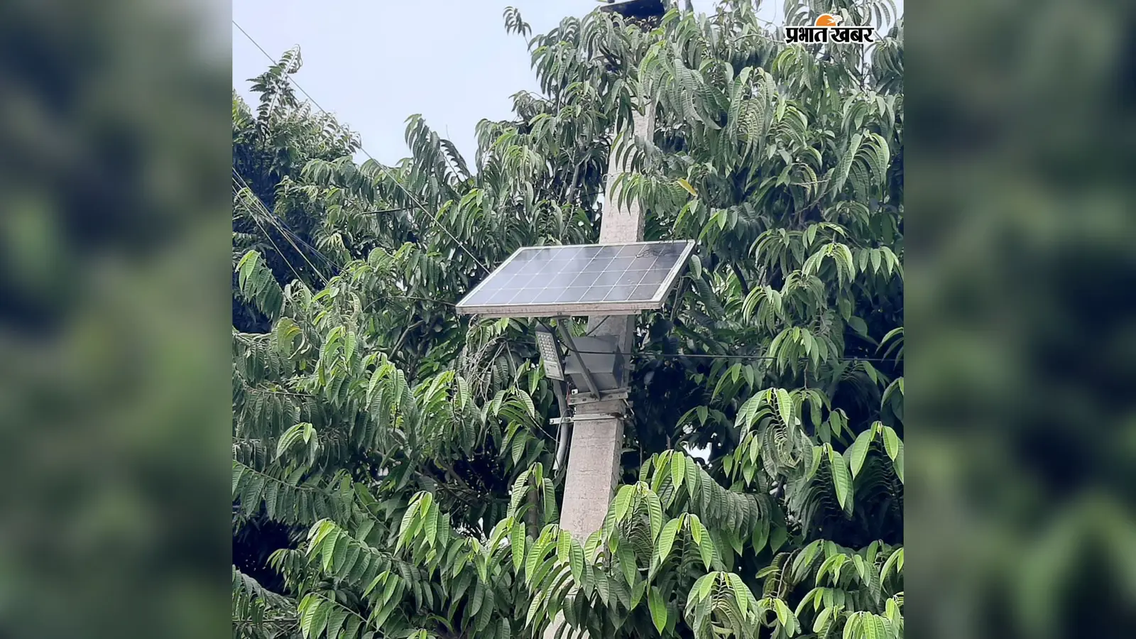 वैशाली में ₹2,000 करोड़ से अधिक खर्च के बाद भी नहीं रोशन हुईं गांव की गलियां, अधिकांश सोलर स्ट्रीट लाइट बंद
