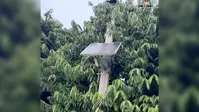वैशाली में दो हजार करोड़ से अधिक खर्च के बाद भी नहीं रोशन हो सकीं गांव की गलियां, अधिकांश सोलर स्ट्रीट लाइट बंद