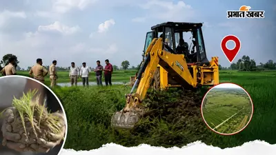 संभल में जिस खेत को अपना समझकर बोते रहे फसल, वह जमीन निकली सरकारी, 137 बीघा का सच सामने आते ही चला बुलडोजर