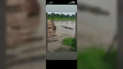 सीवान के नौतन में झरही नदी में दिखा मगरमच्छ, ग्रामीणों में दहशत; प्रशासन ने जारी किया अलर्ट
